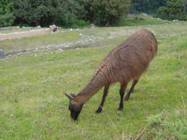 f0160069_2017577.jpg