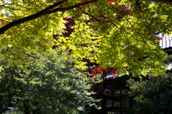 b0117170_12232250.jpg