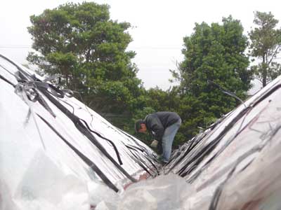 e0097770_22154033.jpg