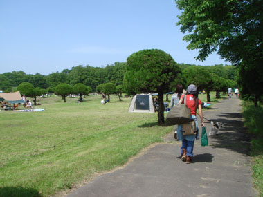 b0091373_051446.jpg