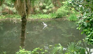 b0013376_12332094.jpg