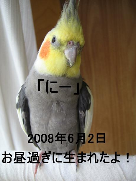 e0027078_163639.jpg