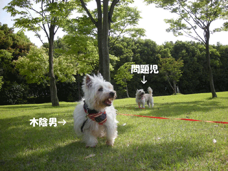 e0066883_2123386.gif