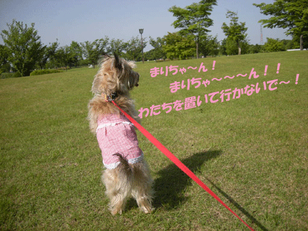 e0066883_21285869.gif