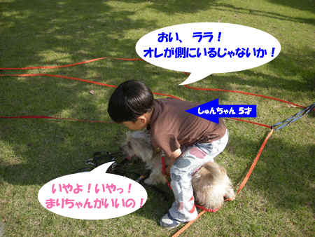 e0066883_2131665.gif