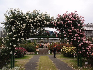 c0105785_9285629.jpg