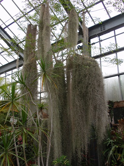 c0105785_943625.jpg