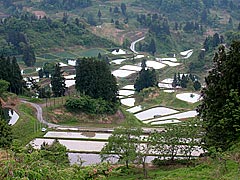 e0024886_1514332.jpg