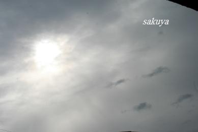 e0122194_17514399.jpg