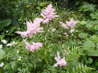 f0130894_1843584.jpg