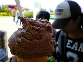 d0010496_21551192.jpg