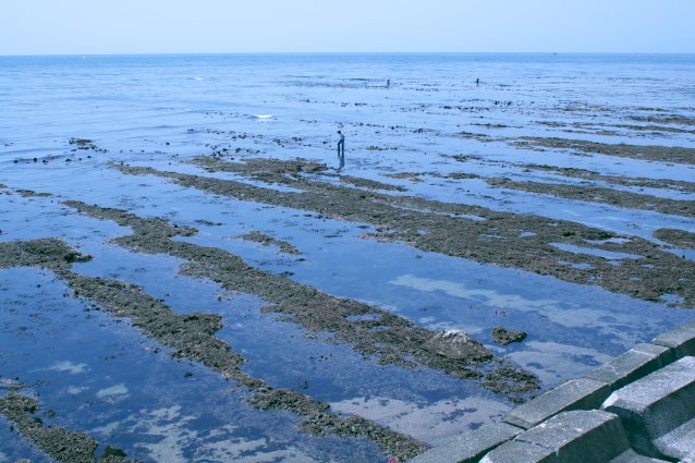 c0084097_11111843.jpg