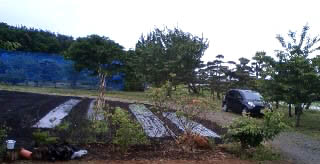 e0054299_1311531.jpg
