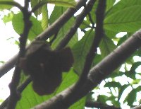 e0122199_16175546.jpg