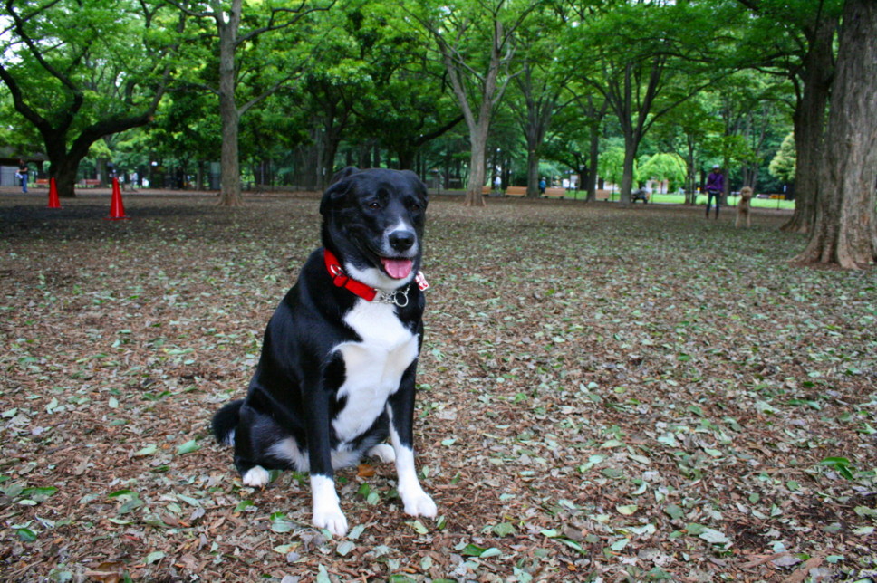 d0070702_4141210.jpg