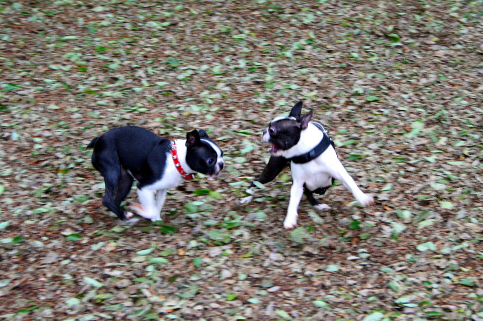 d0070702_42942.jpg