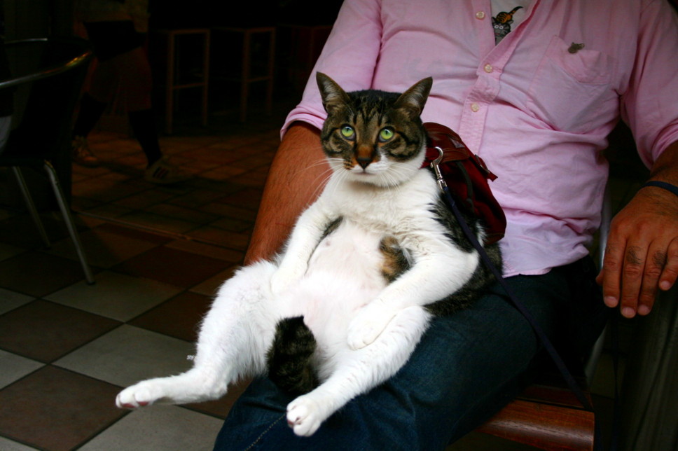 d0070702_4294760.jpg