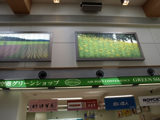 f0020302_22334432.jpg