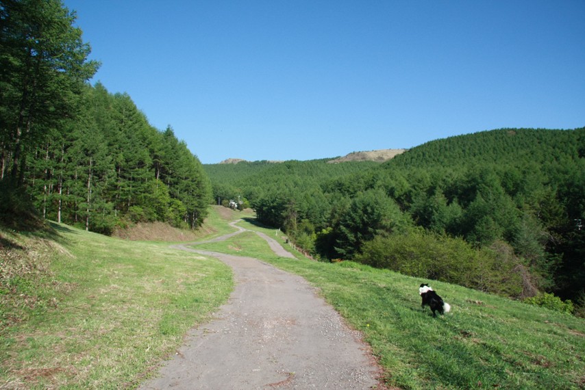 f0034602_2171744.jpg