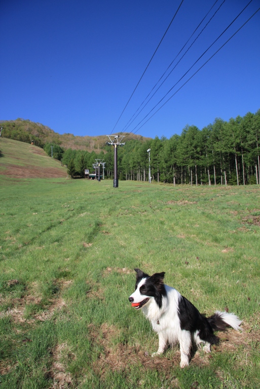 f0034602_21749.jpg