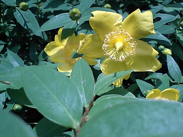 d0054704_1255756.jpg