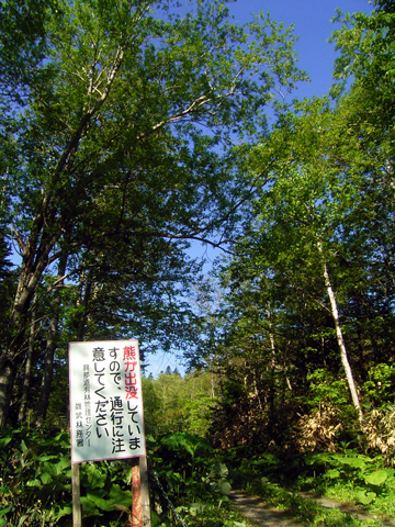 d0051707_21143510.jpg