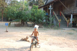 e0082110_13171755.jpg