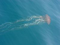 c0126615_1033536.jpg
