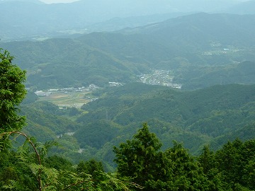 a0054016_775994.jpg