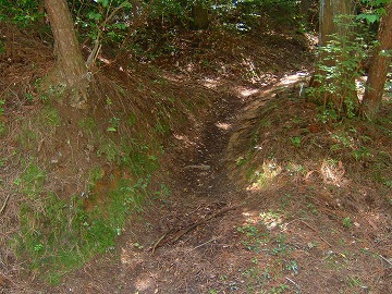 a0054016_782513.jpg