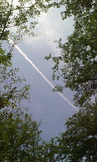 b0024020_054109.jpg