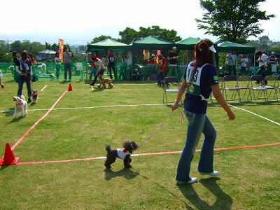 d0023323_2321015.jpg