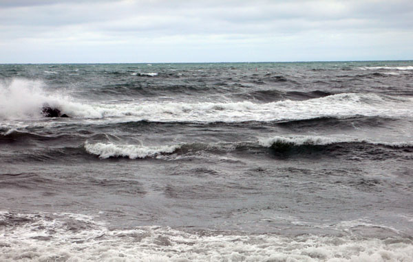 a0046429_2344359.jpg
