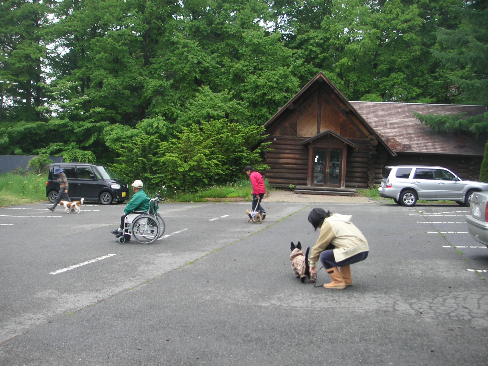 c0114833_18165397.jpg