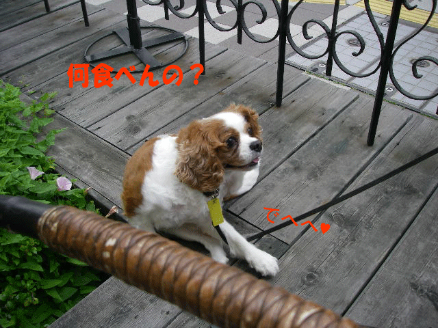 c0136838_18125671.gif