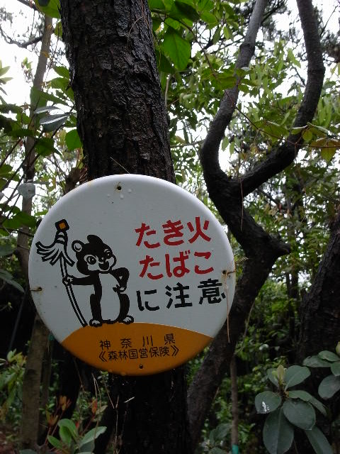 a0087341_23344527.jpg
