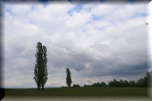 f0153450_20583197.jpg