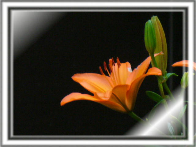 f0074659_2211411.jpg