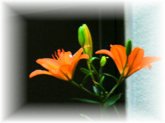 f0074659_226128.jpg
