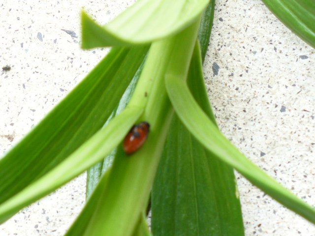 f0074659_2292996.jpg