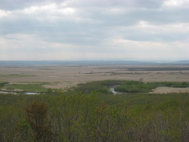 f0116159_2148731.jpg