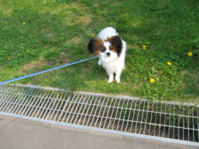 f0122259_00378.jpg