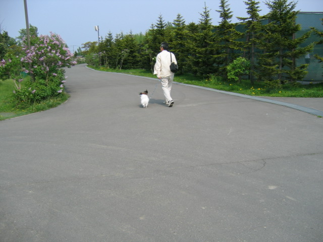 f0122259_23533420.jpg