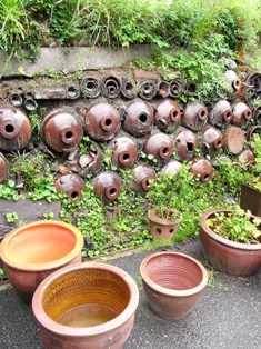 d0090161_1171480.jpg