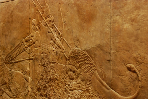 e0005868_7514123.jpg
