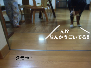 e0124868_19462132.jpg