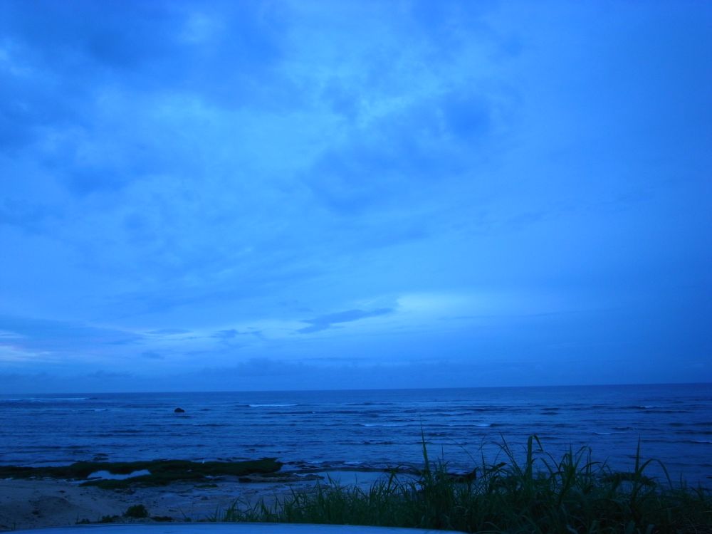 c0132571_6544981.jpg