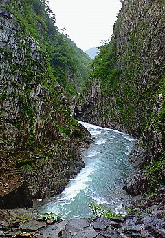e0088684_3161585.jpg