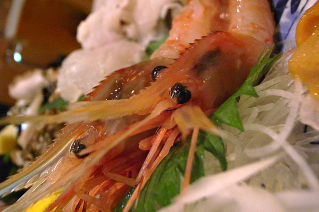 b0067789_21222515.jpg