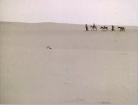 f0038892_1953243.jpg